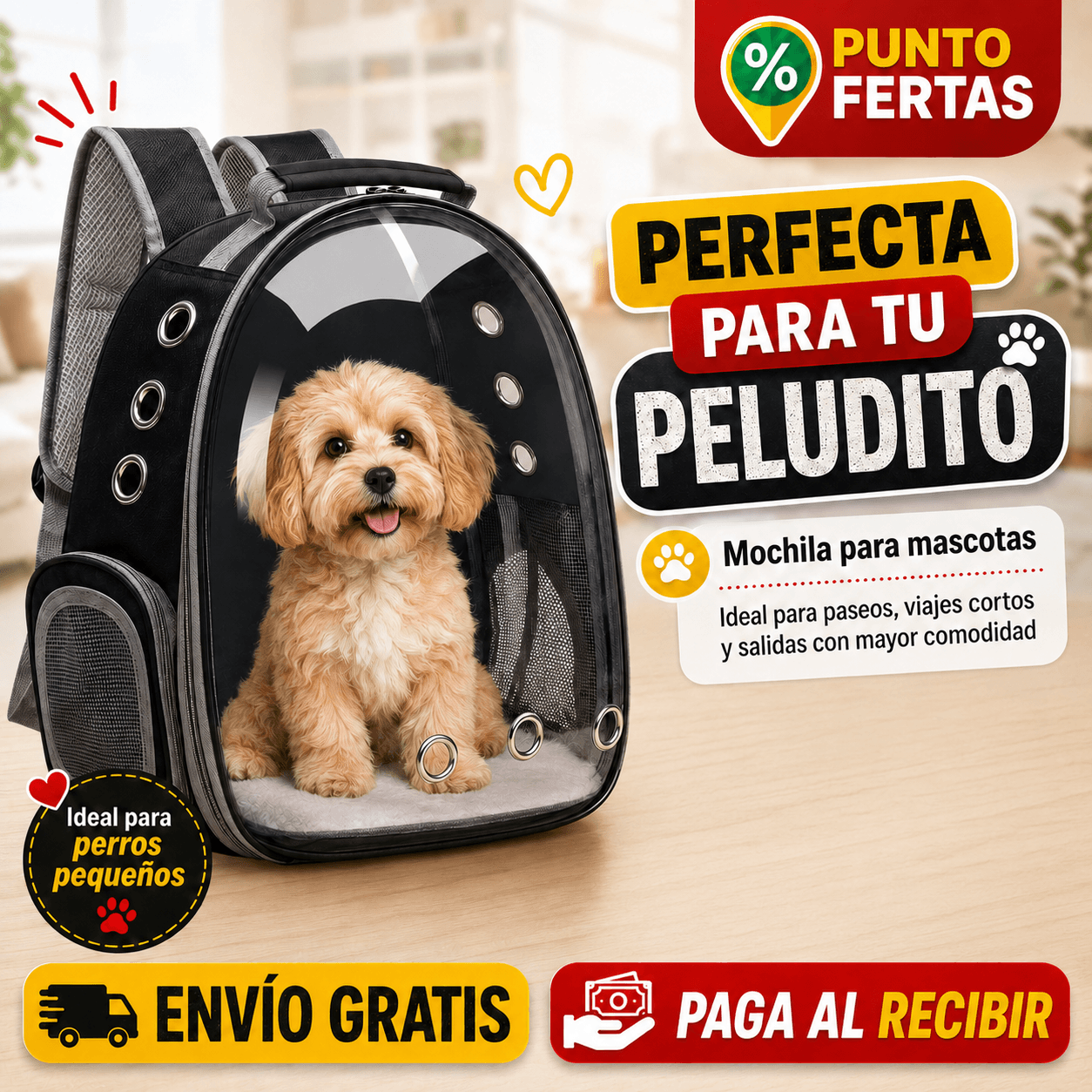 Mochila para Mascotas | Viajes más comodos